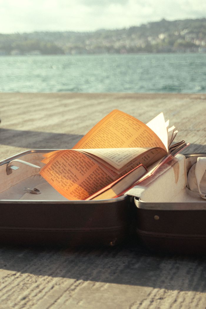 An open book rests on a suitcase by the seaside, capturing a tranquil travel moment.